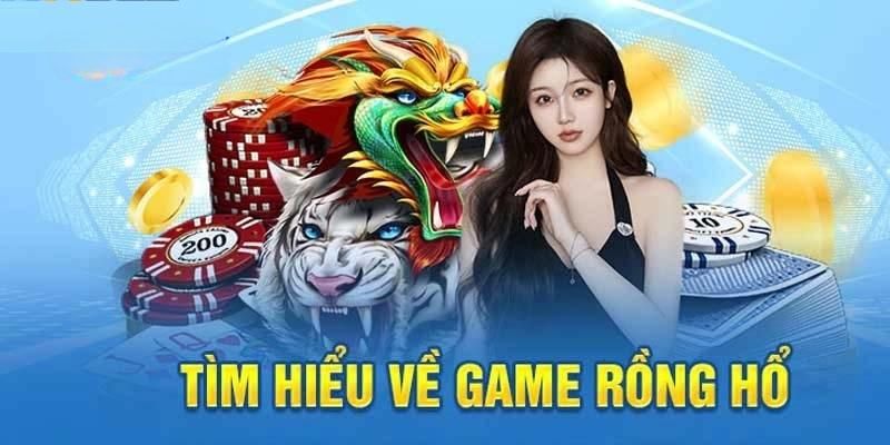 Rồng Hổ 88VN