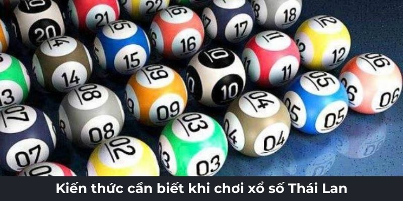 Kiến thức liên quan hội viên cần biết