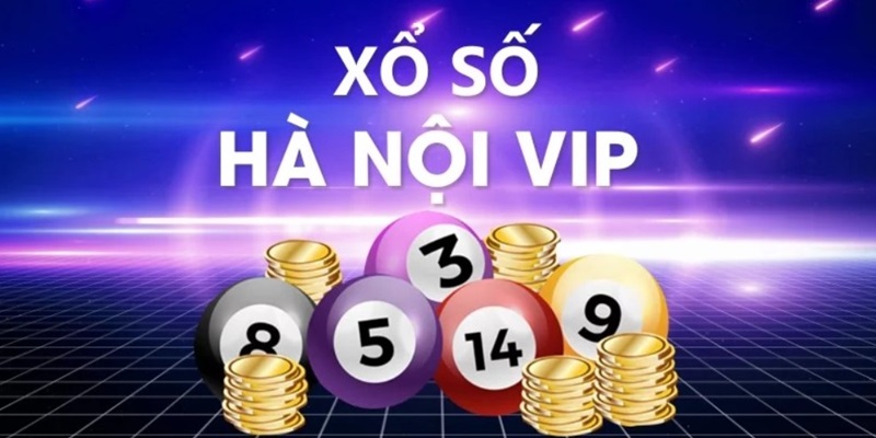 Giới thiệu hình thức săn xố Hà Nội vip